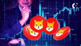 USD:前 5000 名以太坊巨鲸平均持有价值 4600 万美元的 SHIB_HALE