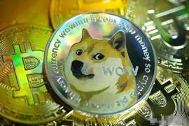 狗狗币:狗币（DOGE）价格在谷歌支持后飙升_狗狗币