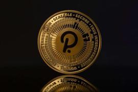 DOT:DOT 在过去 7 天的表现为负 3%_POLK
