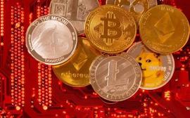 SMA:数据分析：加密货币走向难以预测？_SMARTSHIB价格