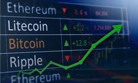 TOAD:为什么 DigiToads 的定位优于 XRP 和 Litecoin 等老牌玩家?_AllStars Digital