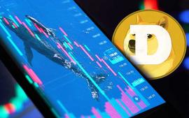 COI:DOGE 的价格在过去 24 小时内上涨了 2.05%_apecoin币兑美元价格行情