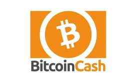BCH:为什么比特币现金（BCH）失败了？_bch币价格反着买别墅靠海