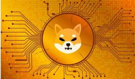 AINU:柴犬燃烧率加速 3,000%，会影响价格吗？_LAZYSHIBA价格