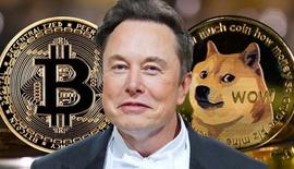 TTE:马斯克：比特币会成功、狗狗币上月球！_TWITTERX