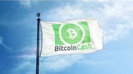 ITA:比特币现金（BCH）在 EDX 上市 24 小时内飙升 33.9%，韩国飙升_FID