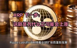 ARI:XRP 价格，分析师预测下一轮牛市将上涨 20 倍！_NET