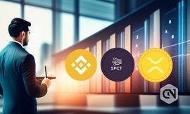 VCS:BNB 和 XRP 齐头并进——新的加密宝石占据了市场主导地位_泰达币和比特币有什么关系