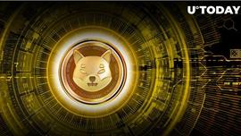 SHIB:柴犬 (SHIB) 暗示新方向和计划，这是令人兴奋的部分_SAM