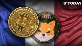 加密货币:SHIB、BTC、ETH 被法国的 440 家商家接受为付款方式_LYZ