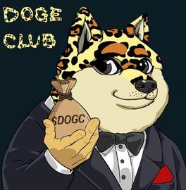 SHIBA:柴犬生态系统代币 BONE 暴涨 88%，跟的赚了多少呢？_SHIT币