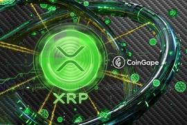 UTU:XRP 社区呼吁 YouTube“终止”流行的 XRP YouTube 频道_TUB