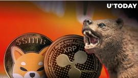 XRP:XRP 和SHIB旨在惩罚熊，Santiment 揭示秘密武器_SXRP