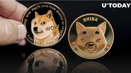 DOG:狗狗币（DOGE）和柴犬（SHIB）从本周一开始将呈现爆炸性动态_RSHIB币