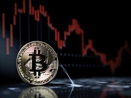 STH:比特币：短期持有者看到利润_马斯克最新推特狗狗币