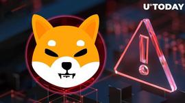 EFIL:柴犬敲响警钟：SHIB 幕后发生的事情_metamask手机版下载