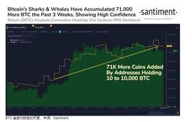 WOR:提交 ETF 以来，比特币鲨鱼和鲸鱼已积累了价值 20 亿美元的 BTC_Janus Network