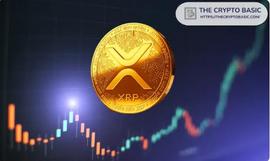 PEPE:XRP 批评者翻开新一页，认为 XRP 是下一轮牛市中表现最佳的股票_yooshi币前景