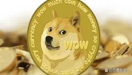 狗狗币:Doge 遭受重大打击并仍处于风险之中_DOG