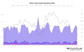 BTC:尽管价格下跌，比特币长期持有者仍然坚挺_比特币以太