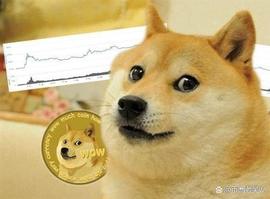 ABO:Kabosu，狗狗币柴犬，被诊断患有严重疾病_BOS