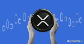 PPL:Bitrue用户积累价值8亿美元的XRP持有量,其中88%为有利多头头寸_加密货币是不是局3023