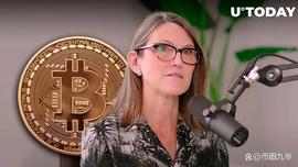 比特币:CathieWood表示SEC可能会同时批准多个比特币ETF_COI