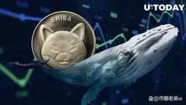 SHI:SHIB鲸鱼引发800万美元的飙升，但这里出现了令人瞠目结舌的转折_Blocktix
