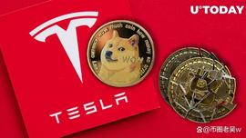 比特币:特斯拉取消了比特币，但保留狗狗币（DOGE）作为支付选项_加密货币软件