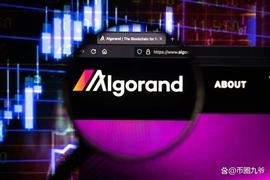 ALGO:由于监管不确定性，ALGO创下历史新低_ALGO价格