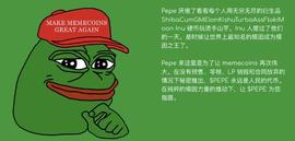 EPE:币圈“土狗”万倍狂欢：一面暴富，一面归零_PEPECOLA