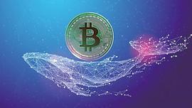 SSV:每次下跌都是进场时机！近期埋伏利好币种！_ssv币主网什么时候上线