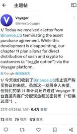 VGX:币安停止收购VGX，前一秒暴涨后一秒利空_FOM