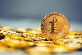 ARB:一篇文章教会你布局百倍项目的思维框架_TRU