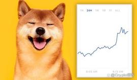 DOG:狗狗币价格——狗狗币本周能否突破 0.20 美元？_RIA