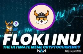 FLO:最值得投资和持有的3种加密货币，将呈爆炸式增长_SHINFLOKI