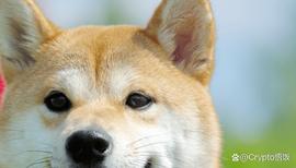 Tap:DOGE的潜力从这个水平反弹，它能否找到新的购买压力？_TIN