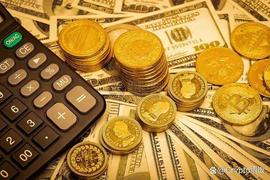 加密货币:2023年应该投资哪些加密货币？_MINA