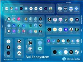 SUI:新公链故事,sui值得投资吗?_Aptos