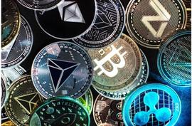 OMP:今年你必须关注的预售币种！年底可能100倍？_TOADY
