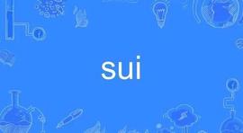 COIN:复盘“币圈史上最复杂的项目”Sui_Stealthcoin