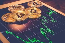 比特币价格:熊市已去，小牛行情还可以持续多久？_ASS