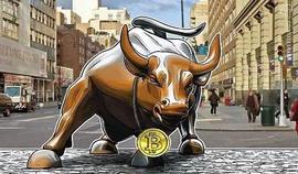 DNX:小牛触顶？下一轮大牛百倍行情在哪？_POLY