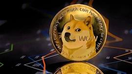 马斯克:DOGE 在推特上希望上涨 25%，后续能继续保持嘛？_SUPDOG币