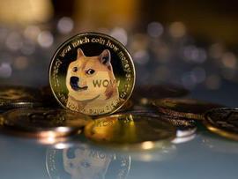 DOGE:DOGE创下1个月新高，成为币市最大的推动者_DOGE价格