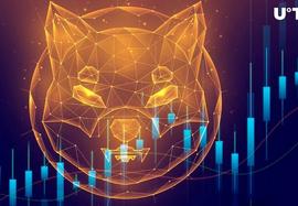 SHI:Shiba Inu（SHIB）即将出现重大价格变动；原因如下_AIN