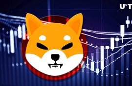 SHIBA:柴犬（SHIB）暴涨10%，成为最赚钱资产之一_Meta Ruffy