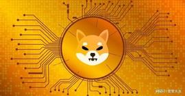FANT:FLSK超越柴犬（SHIB）和范通（FTM）预计将成为今年最好的投资_FAN