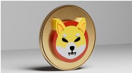加密货币:你应该将芝犬添加到你的加密投资组合中吗？_Mega Shiba Inu