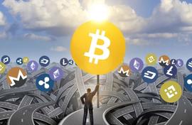 BTC:山寨币赛季纸牌！到年底，比特币的主导地位可能飙升 50%_ALT
